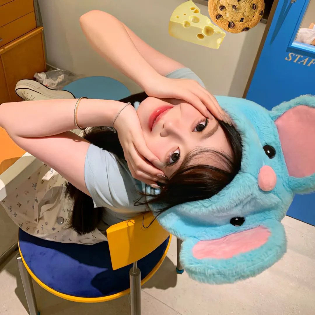 京来京都了！